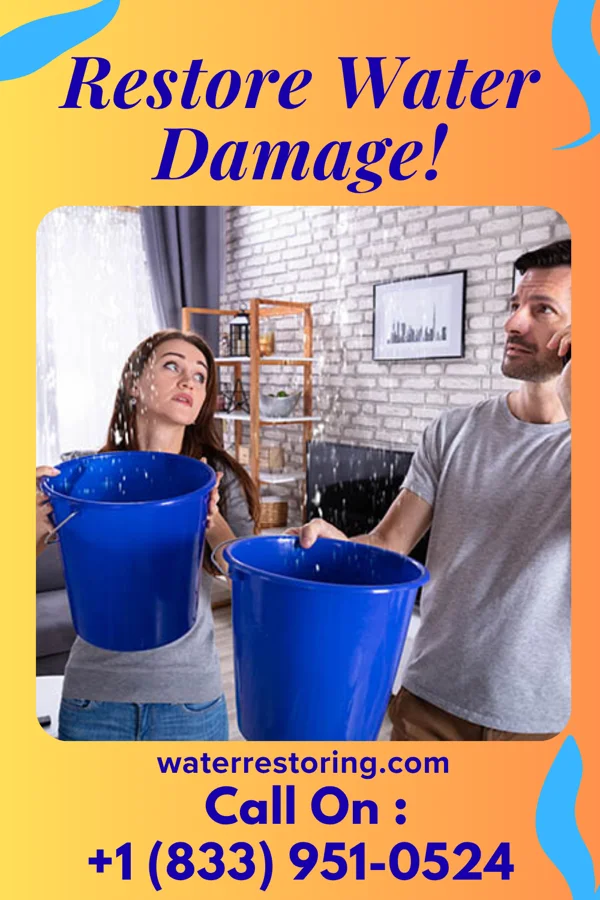 water restoration Central Cleanup Network Flemington