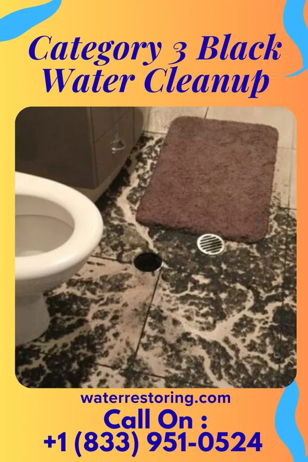Category 3 Black Water Cleanup in Flemington, GA