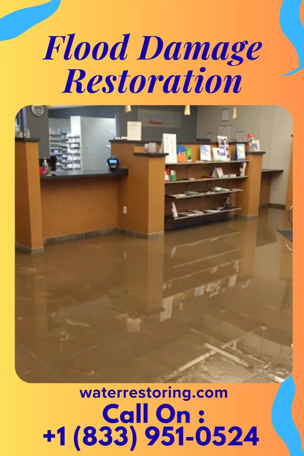 Flood Damage Restoration in Flemington, GA