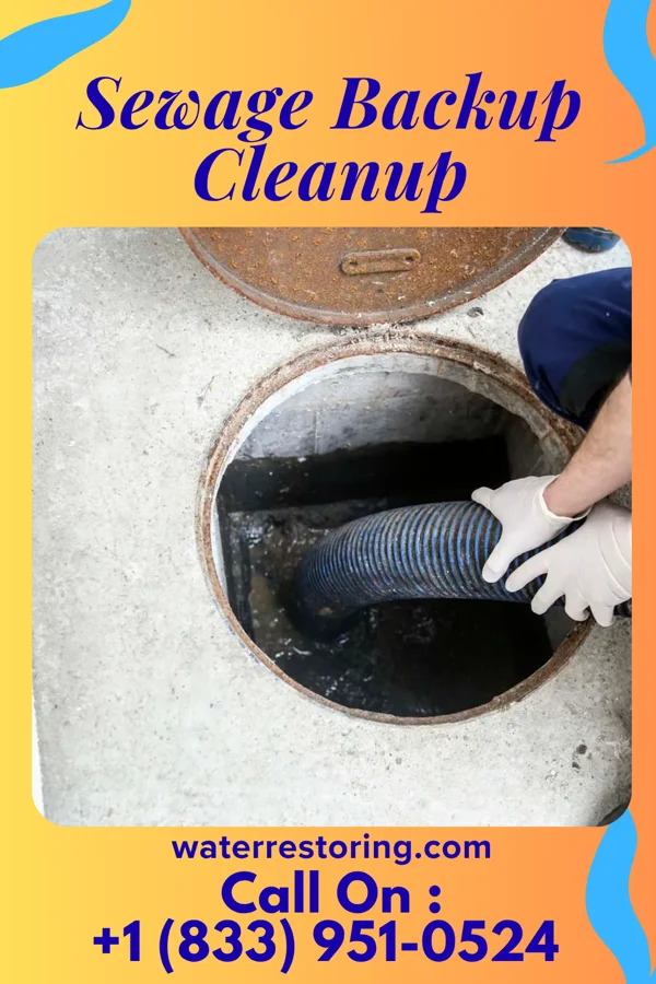 Sewage Backup Cleanup in Flemington, GA