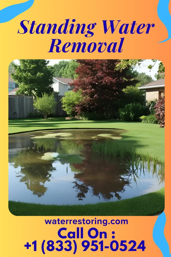 Standing Water Removal in Flemington, GA